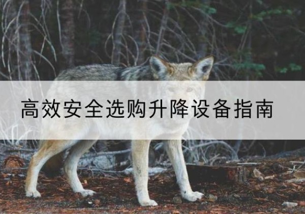 休宁升降货梯厂家推荐-*安全选购升降设备指南