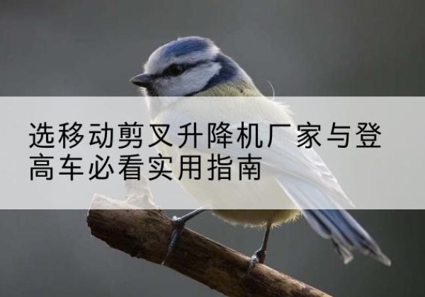 休宁电动升降机厂家-选移动剪叉升降机厂家与登高车必看实用指南